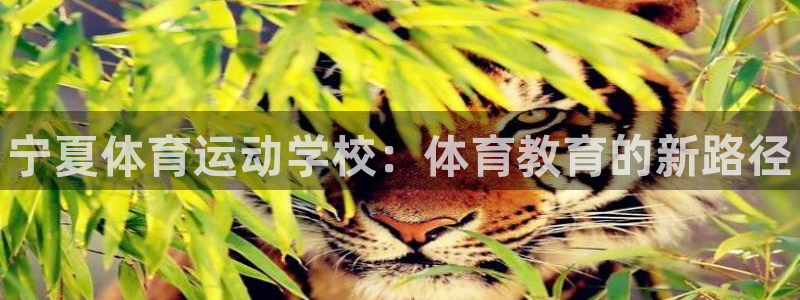 JJB竞技宝官方正版app娱乐首页网站大全:宁夏体育运动学校